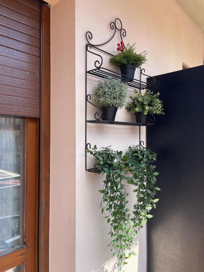 Piso Victoria Apartamento Guardiola de Berga Exterior foto